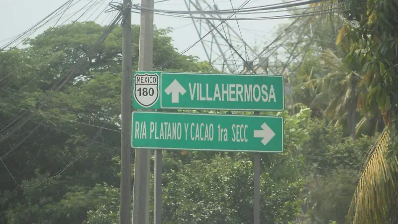 platano y cacao df.jpeg